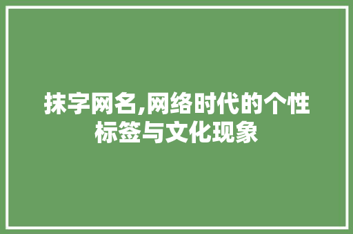 抹字网名,网络时代的个性标签与文化现象 项目报告