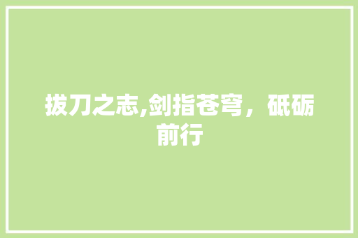 拔刀之志,剑指苍穹，砥砺前行