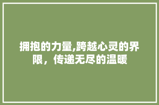 拥抱的力量,跨越心灵的界限，传递无尽的温暖