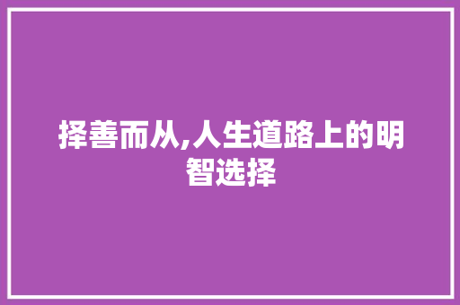 择善而从,人生道路上的明智选择 应用文