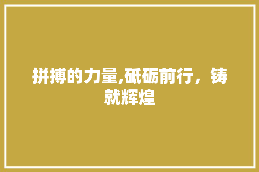 拼搏的力量,砥砺前行，铸就辉煌 项目报告