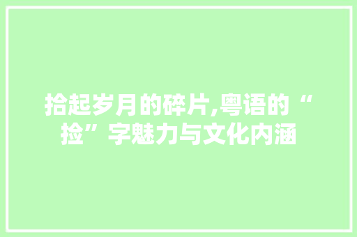 拾起岁月的碎片,粤语的“捡”字魅力与文化内涵 项目报告