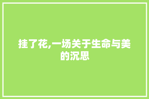 挂了花,一场关于生命与美的沉思