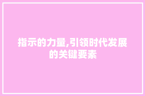 指示的力量,引领时代发展的关键要素