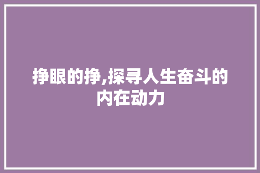 挣眼的挣,探寻人生奋斗的内在动力