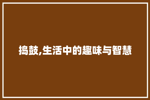 捣鼓,生活中的趣味与智慧