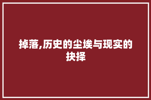 掉落,历史的尘埃与现实的抉择