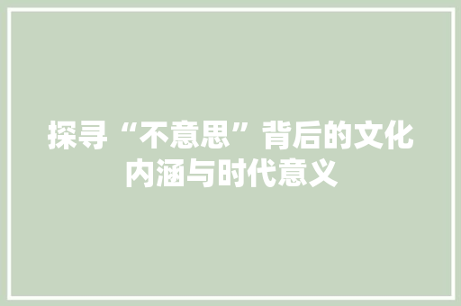 探寻“不意思”背后的文化内涵与时代意义 项目报告
