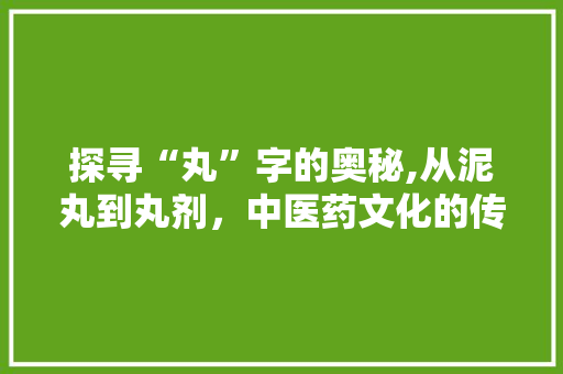 探寻“丸”字的奥秘,从泥丸到丸剂，中医药文化的传承与创新