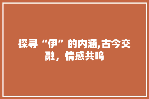 探寻“伊”的内涵,古今交融，情感共鸣 项目报告