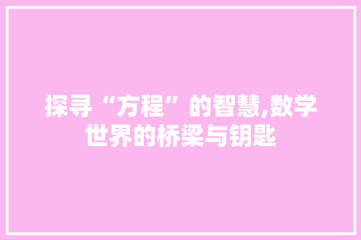 探寻“方程”的智慧,数学世界的桥梁与钥匙