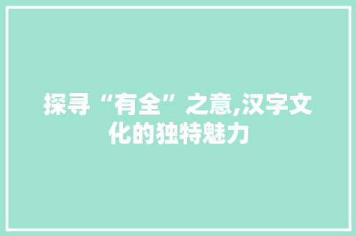 探寻“有全”之意,汉字文化的独特魅力 工作总结