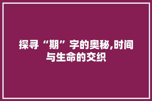 探寻“期”字的奥秘,时间与生命的交织