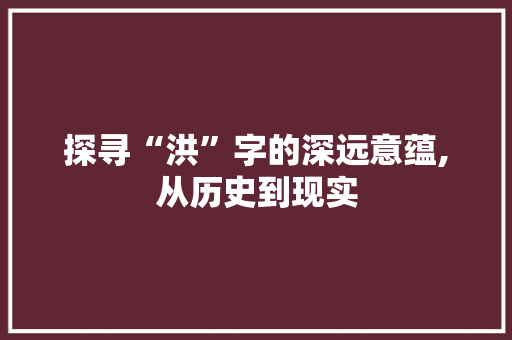 探寻“洪”字的深远意蕴,从历史到现实 项目报告