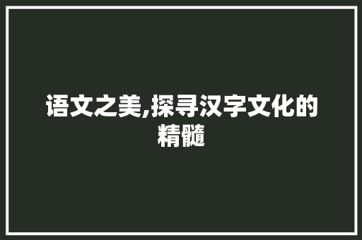 语文之美,探寻汉字文化的精髓