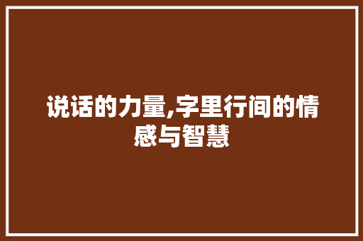 说话的力量,字里行间的情感与智慧 会议纪要