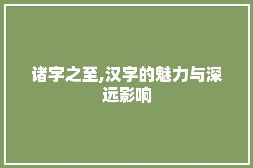 诸字之至,汉字的魅力与深远影响
