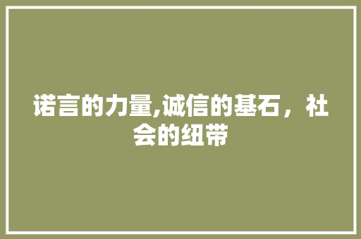 诺言的力量,诚信的基石，社会的纽带