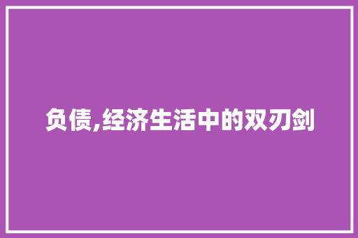 负债,经济生活中的双刃剑