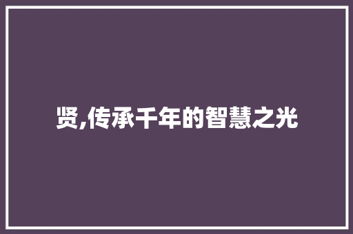 贤,传承千年的智慧之光