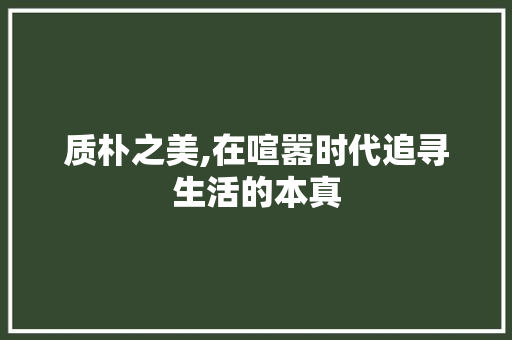 质朴之美,在喧嚣时代追寻生活的本真
