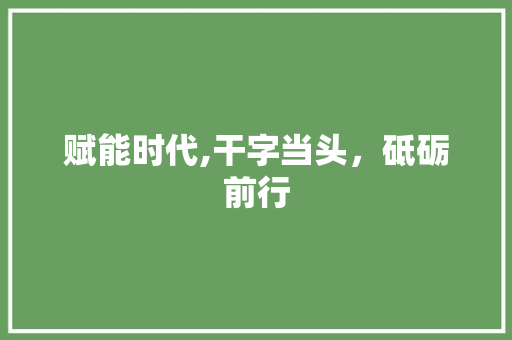 赋能时代,干字当头，砥砺前行