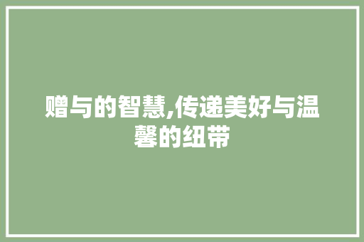 赠与的智慧,传递美好与温馨的纽带