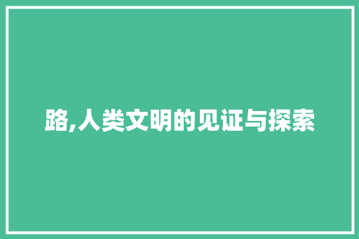 路,人类文明的见证与探索