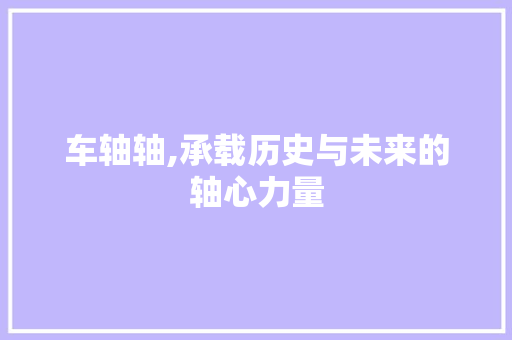 车轴轴,承载历史与未来的轴心力量