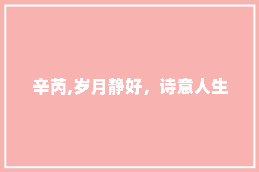 辛芮,岁月静好，诗意人生