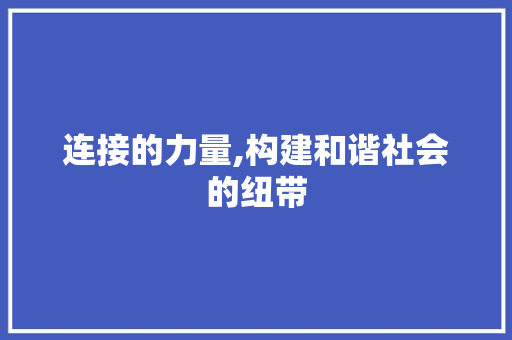 连接的力量,构建和谐社会的纽带