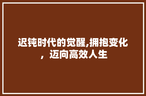 迟钝时代的觉醒,拥抱变化，迈向高效人生