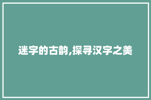 迷字的古韵,探寻汉字之美