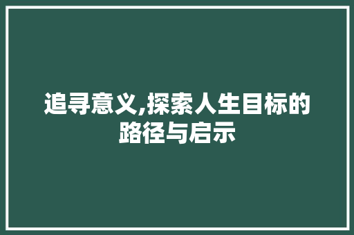 追寻意义,探索人生目标的路径与启示