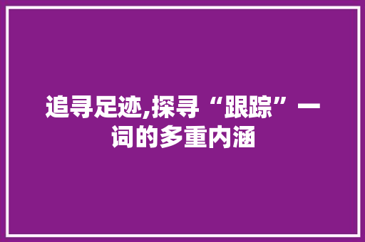 追寻足迹,探寻“跟踪”一词的多重内涵