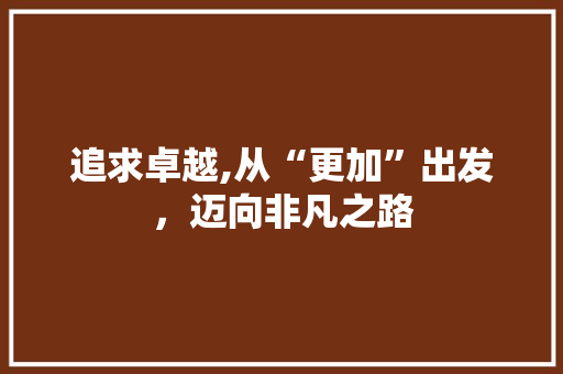 追求卓越,从“更加”出发，迈向非凡之路