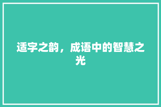 适字之韵，成语中的智慧之光 项目报告