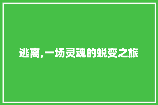 逃离,一场灵魂的蜕变之旅