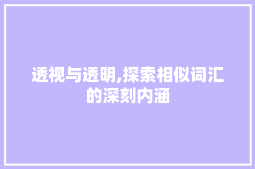 透视与透明,探索相似词汇的深刻内涵