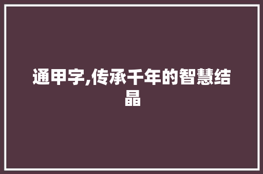 通甲字,传承千年的智慧结晶