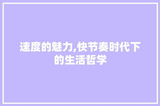 速度的魅力,快节奏时代下的生活哲学