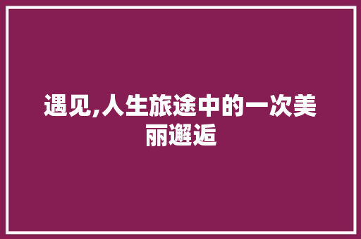 遇见,人生旅途中的一次美丽邂逅 职场写作