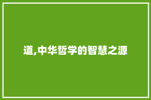 道,中华哲学的智慧之源