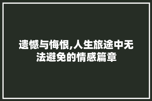遗憾与悔恨,人生旅途中无法避免的情感篇章