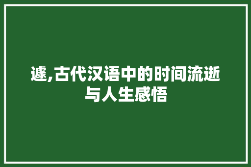 遽,古代汉语中的时间流逝与人生感悟 项目报告