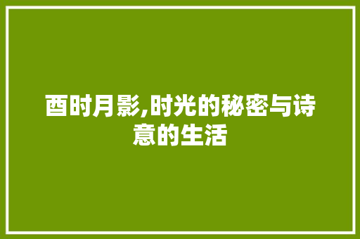 酉时月影,时光的秘密与诗意的生活