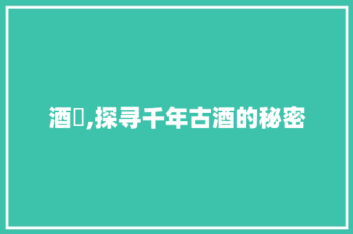 酒蓛,探寻千年古酒的秘密