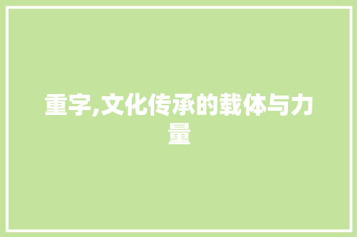 重字,文化传承的载体与力量