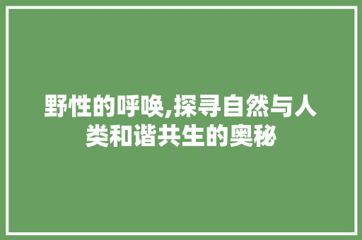 野性的呼唤,探寻自然与人类和谐共生的奥秘