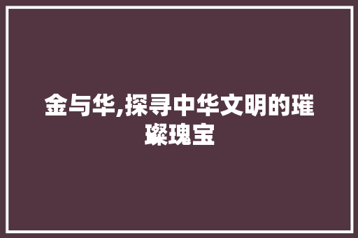 金与华,探寻中华文明的璀璨瑰宝